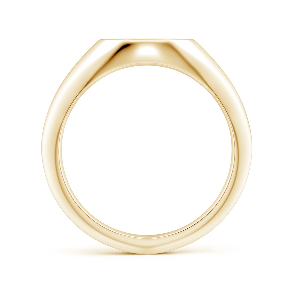 1.3mm GVS2 Diamond Aquarius Engraved Signet Ring in Yellow Gold Side-1