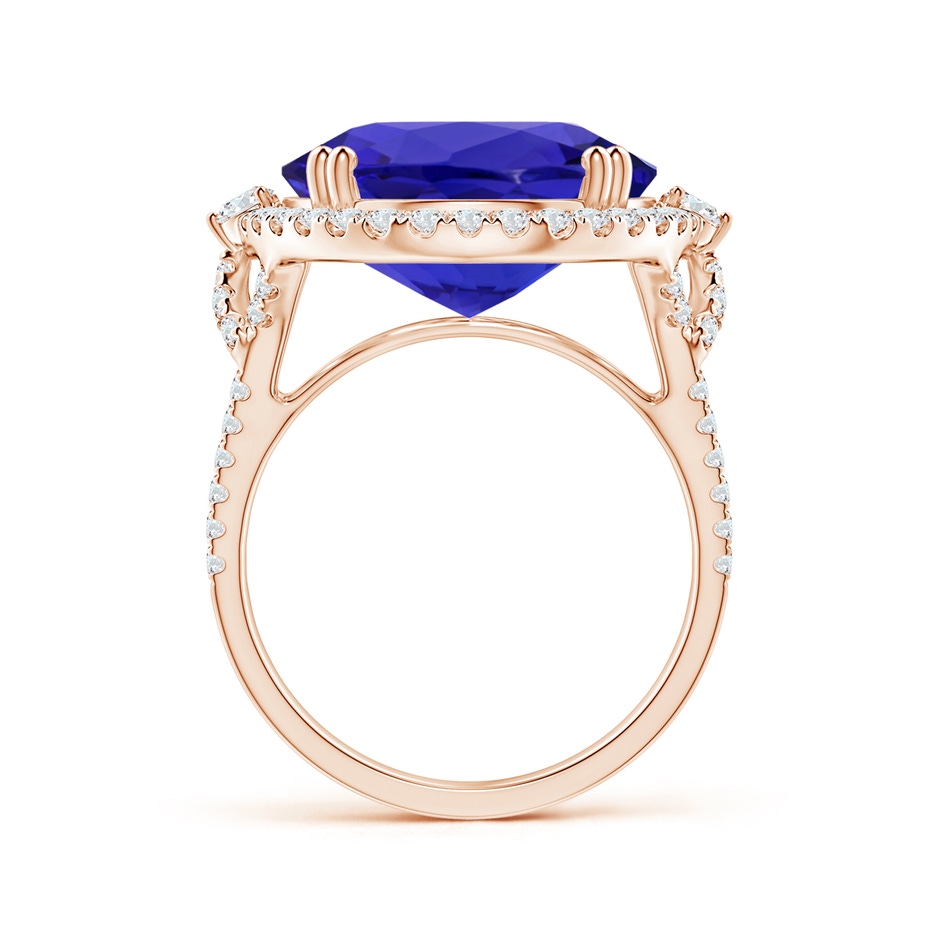 17.67x14.95x9.87mm AAAA GIA Certified Oval Tanzanite Halo Split Shank Ring in Rose Gold side-1