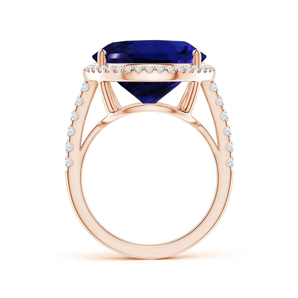 20.11x13.06x10.6mm AAAA GIA Certified Pear-Shaped Tanzanite Halo Ring in Rose Gold - side 199