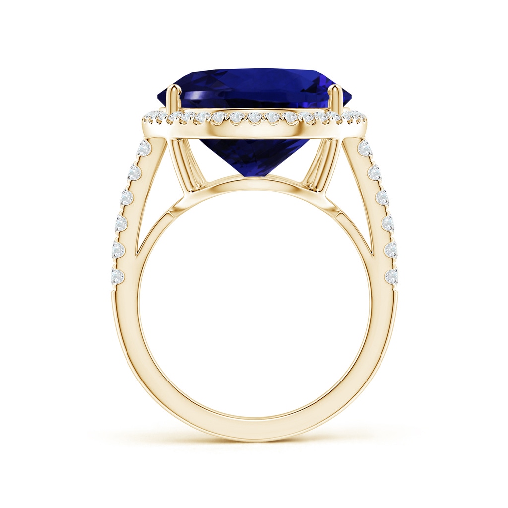 20.11x13.06x10.6mm AAAA GIA Certified Pear-Shaped Tanzanite Halo Ring in Yellow Gold - side 199