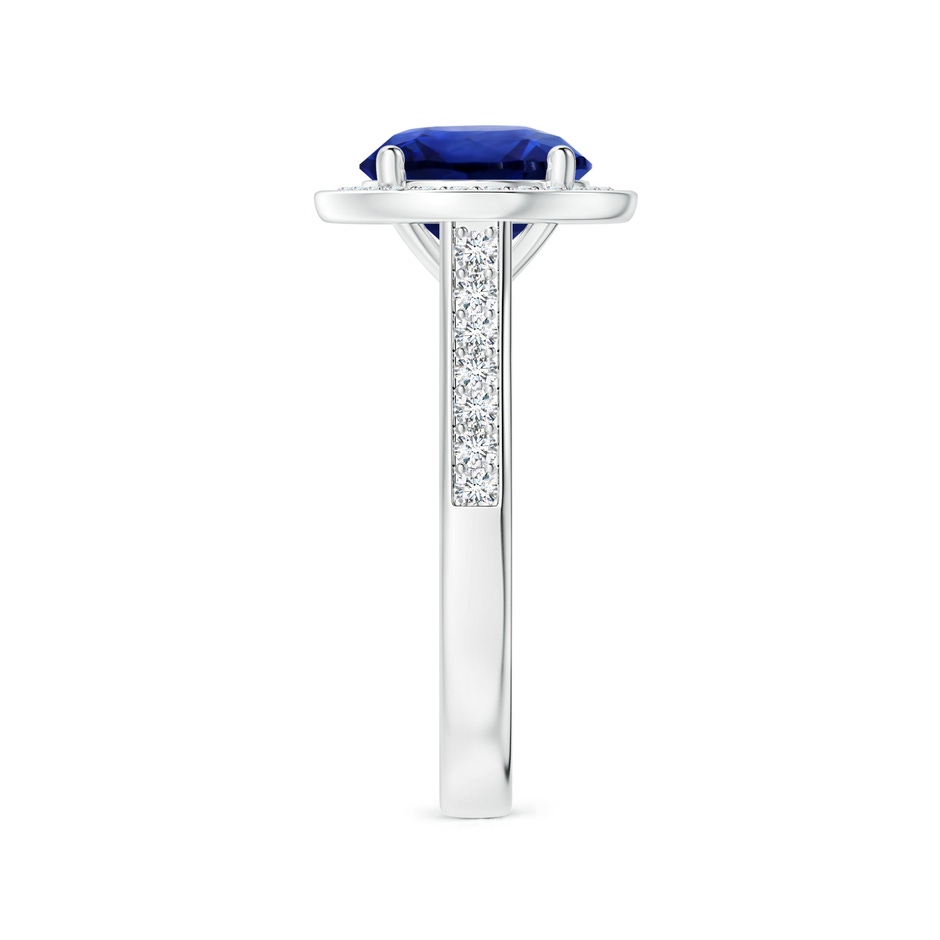 8.94-9.04x5.16mm AAAA Round GIA Certified Blue Sapphire Halo Ring with Diamonds in 18K White Gold side 399