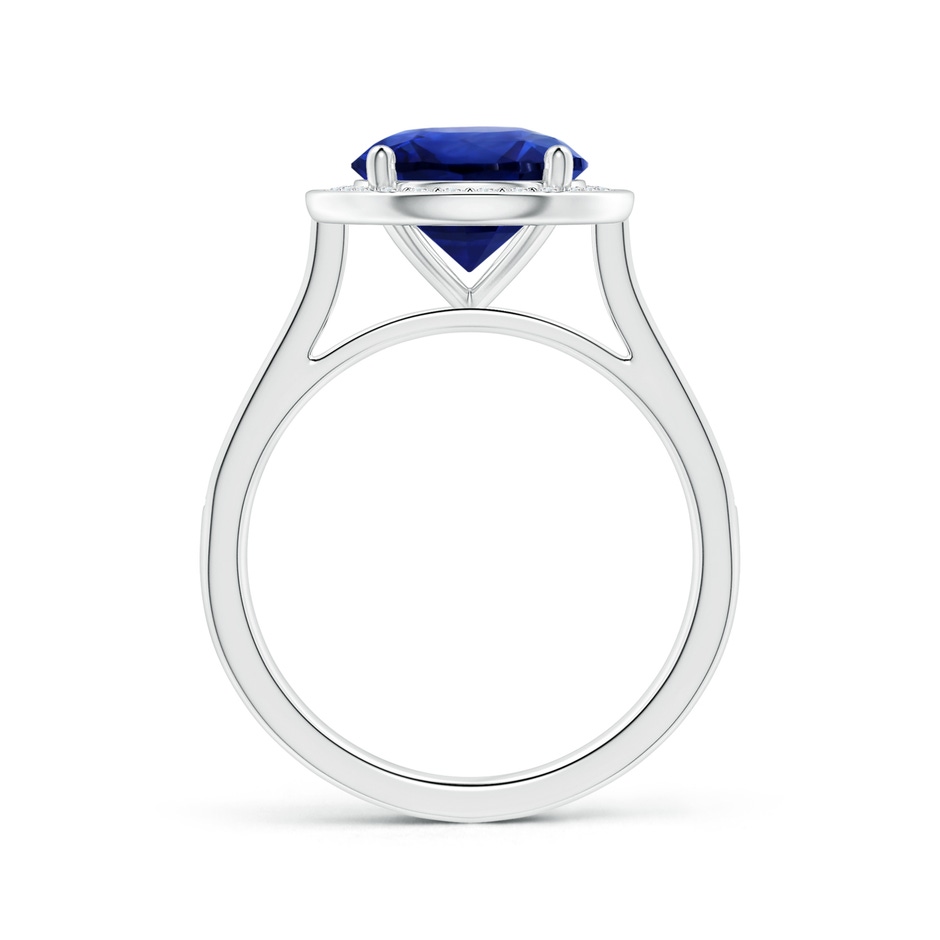 8.94-9.04x5.16mm AAAA Round GIA Certified Blue Sapphire Halo Ring with Diamonds in P950 Platinum side 199