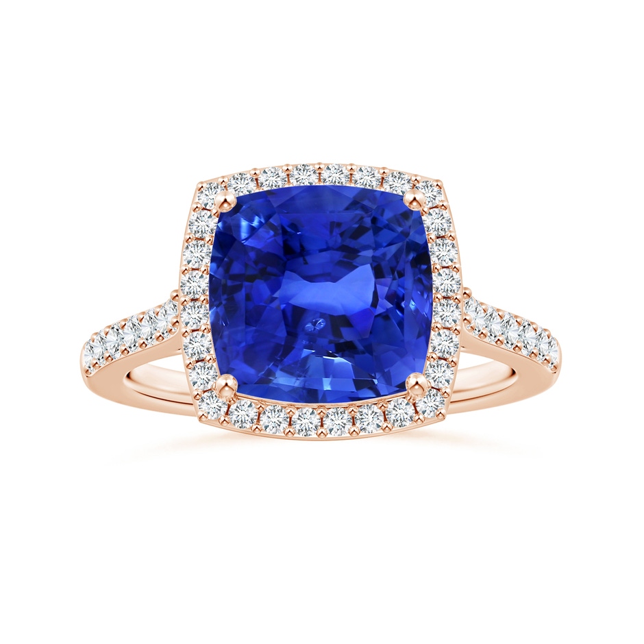 9.85x9.76x7.86mm AAA GIA Certified Cushion Blue Sapphire Halo Ring with Diamonds in Rose Gold 