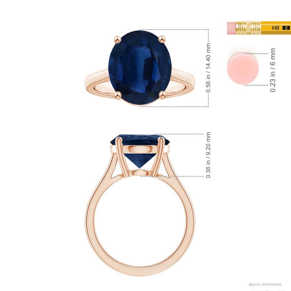 14.43x11.51x5.78mm AA Prong-Set GIA Certified Oval Sapphire Solitaire Reverse Tapered Shank Ring in Rose Gold ruler