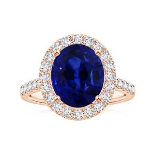 10.97x8.10x6.62mm AAA GIA Certified Oval Blue Sapphire Halo Ring with Diamonds in 10K Rose Gold