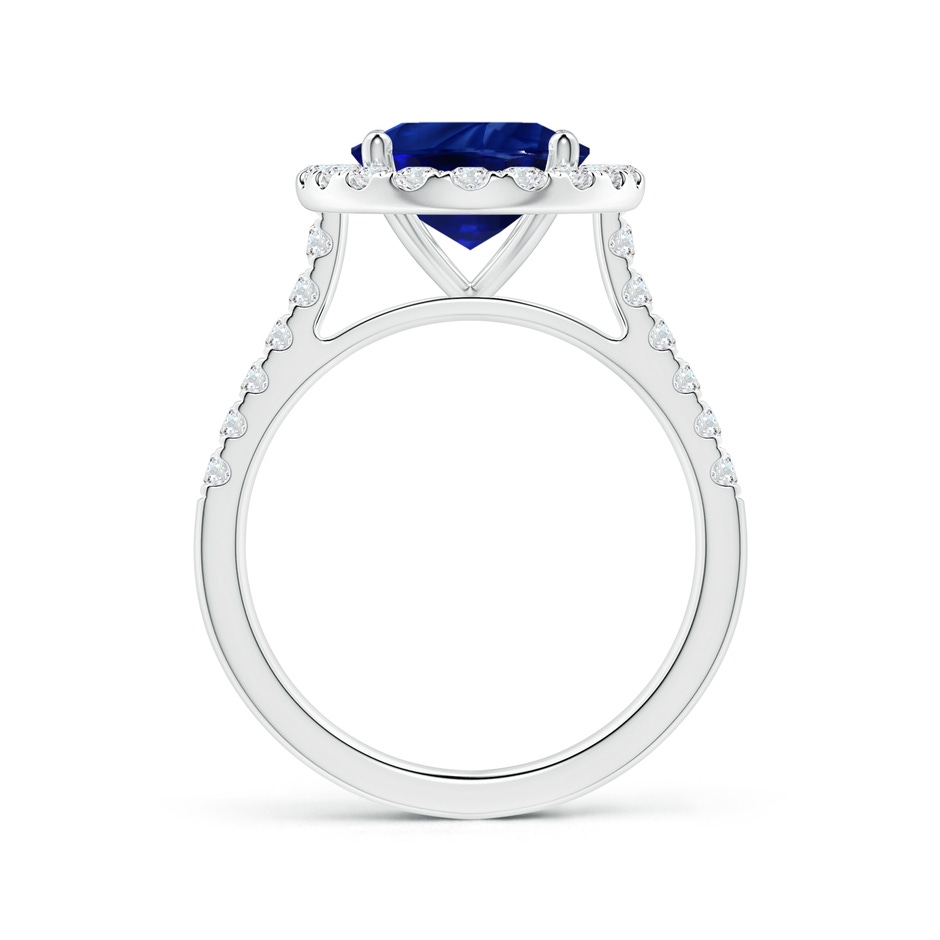 10.97x8.10x6.62mm AAA GIA Certified Oval Blue Sapphire Halo Ring with Diamonds in P950 Platinum side-1