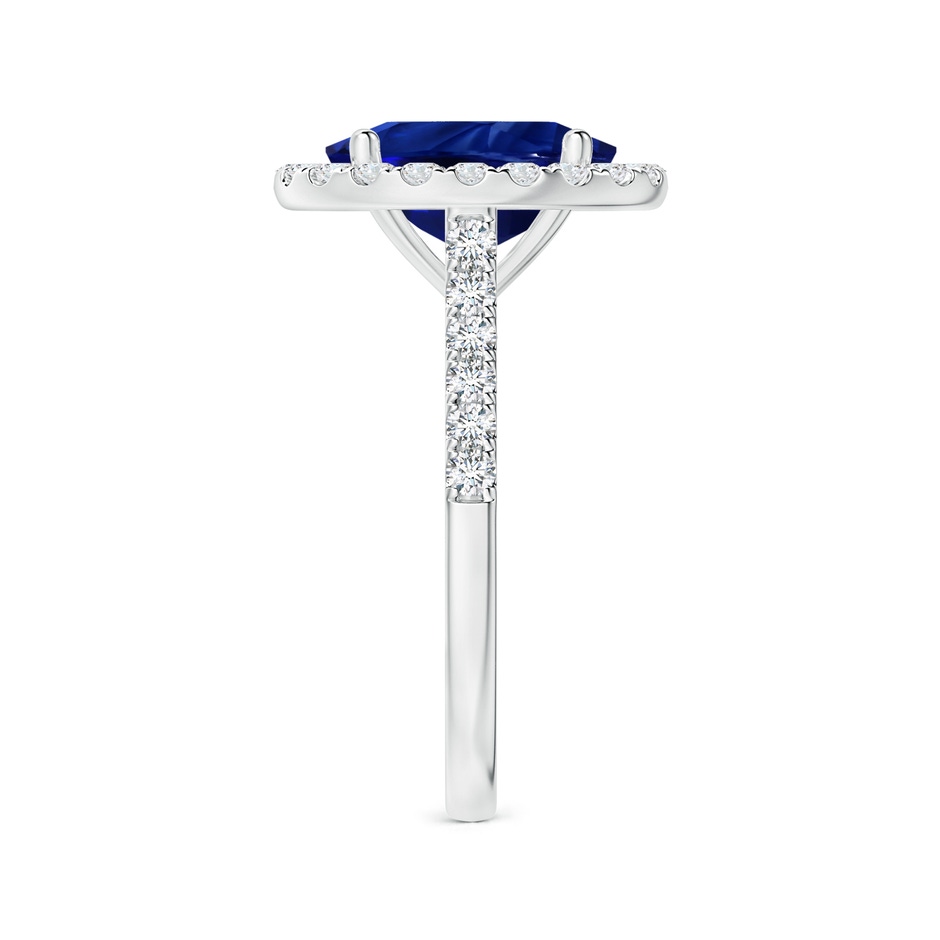 10.97x8.10x6.62mm AAA GIA Certified Oval Blue Sapphire Halo Ring with Diamonds in P950 Platinum side-2