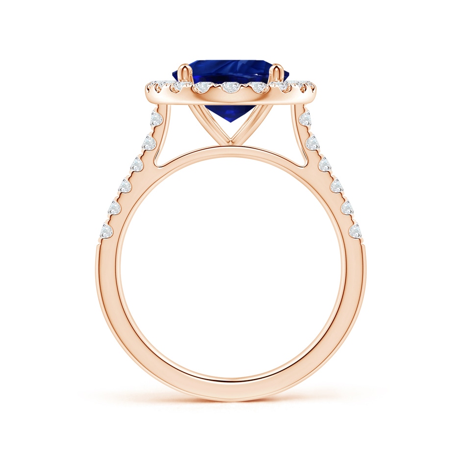 10.97x8.10x6.62mm AAA GIA Certified Oval Blue Sapphire Halo Ring with Diamonds in Rose Gold side-1