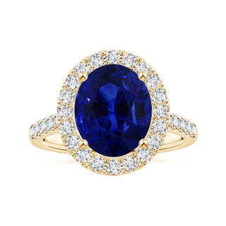 Oval AAA Blue Sapphire