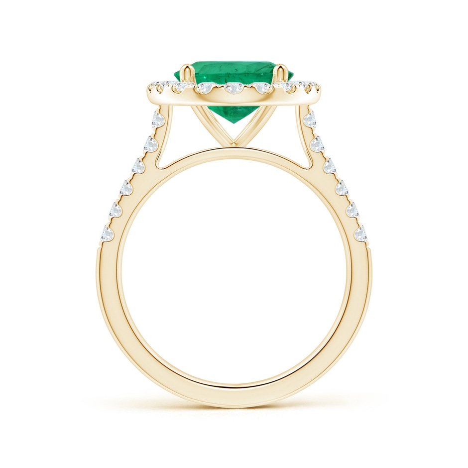 12.26x8.86x5.36mm AA GIA Certified Oval Emerald Halo Ring with Diamonds in Yellow Gold side 199