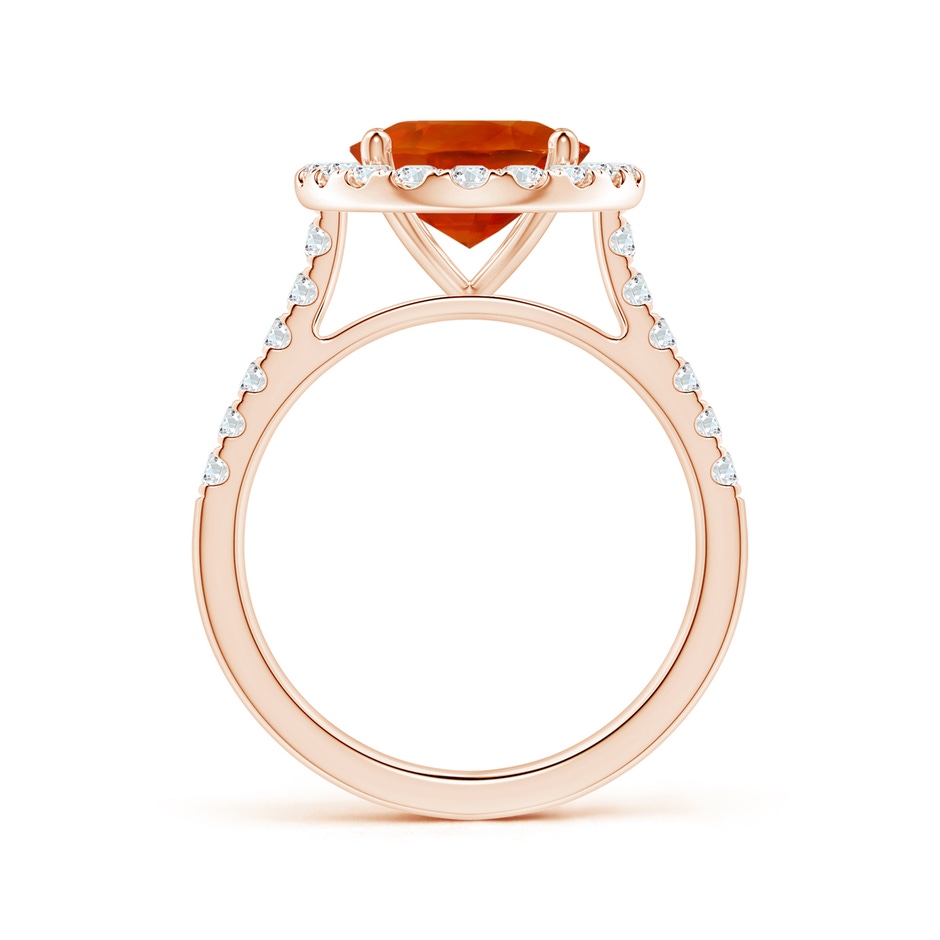 12.12x10.14x8.64mm AAAA GIA Certified Oval Orange Sapphire Halo Ring with Diamonds in Rose Gold side-1