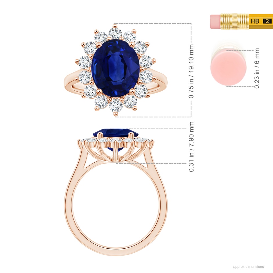 10.67x7.87x5.16mm AAA Princess Diana Inspired GIA Certified Oval Sapphire Halo Reverse Tapered Shank Ring in Rose Gold ruler