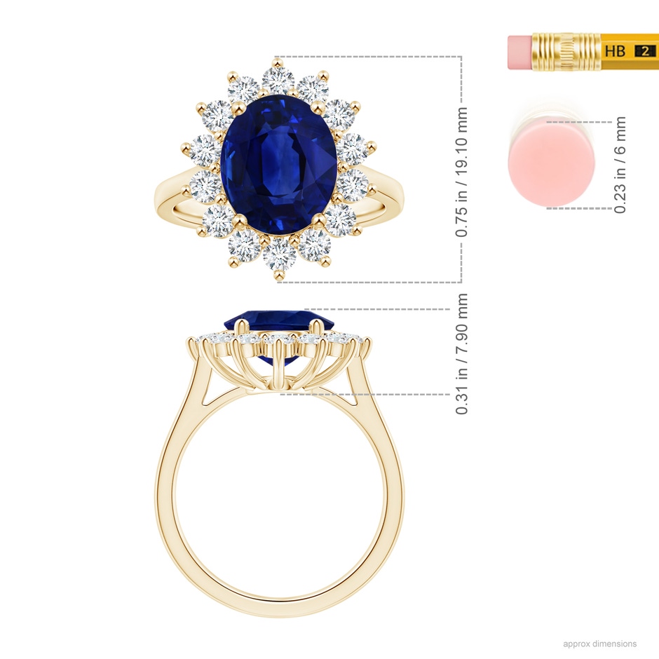 10.67x7.87x5.16mm AAA Princess Diana Inspired GIA Certified Oval Sapphire Halo Reverse Tapered Shank Ring in Yellow Gold ruler
