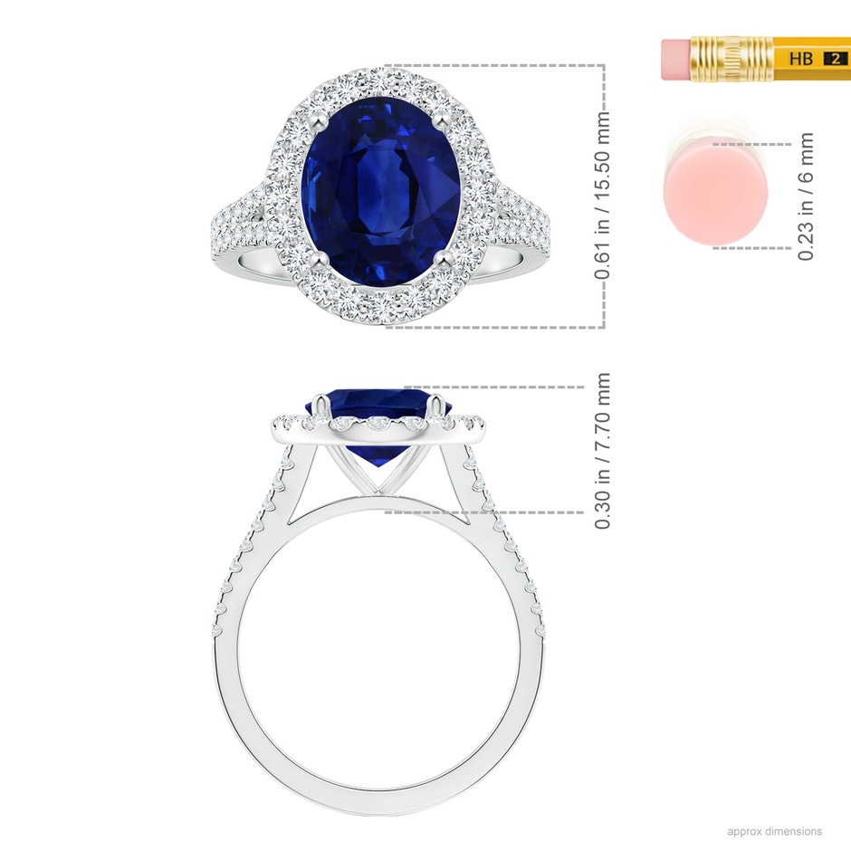 10.67x7.87x5.16mm AAA GIA Certified Oval Blue Sapphire Halo Split Shank Ring in 18K White Gold ruler