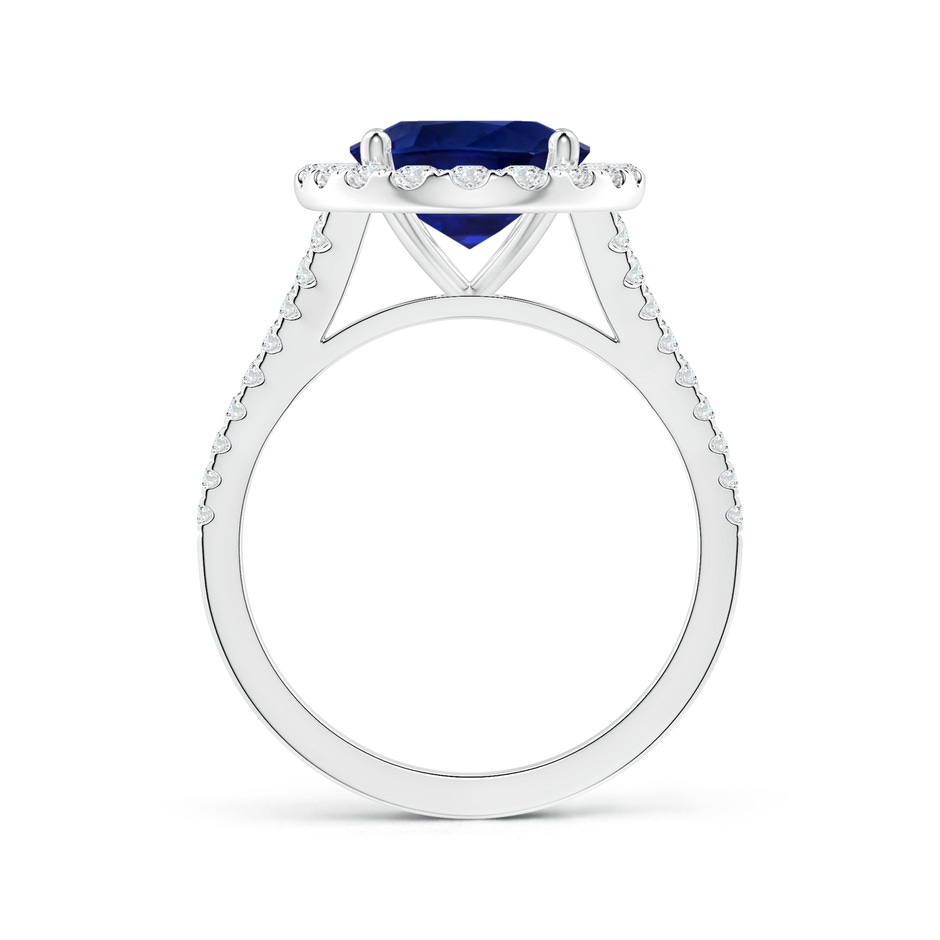 10.67x7.87x5.16mm AAA GIA Certified Oval Blue Sapphire Halo Split Shank Ring in P950 Platinum side-1