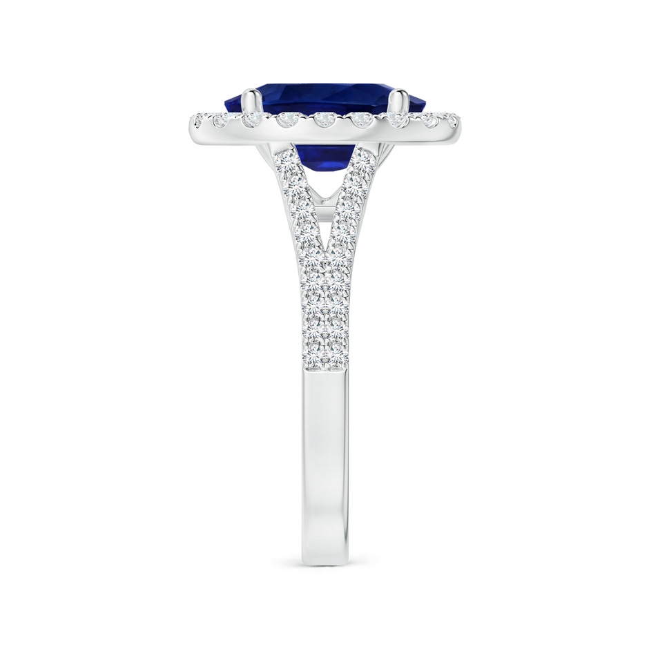 10.67x7.87x5.16mm AAA GIA Certified Oval Blue Sapphire Halo Split Shank Ring in P950 Platinum side-2