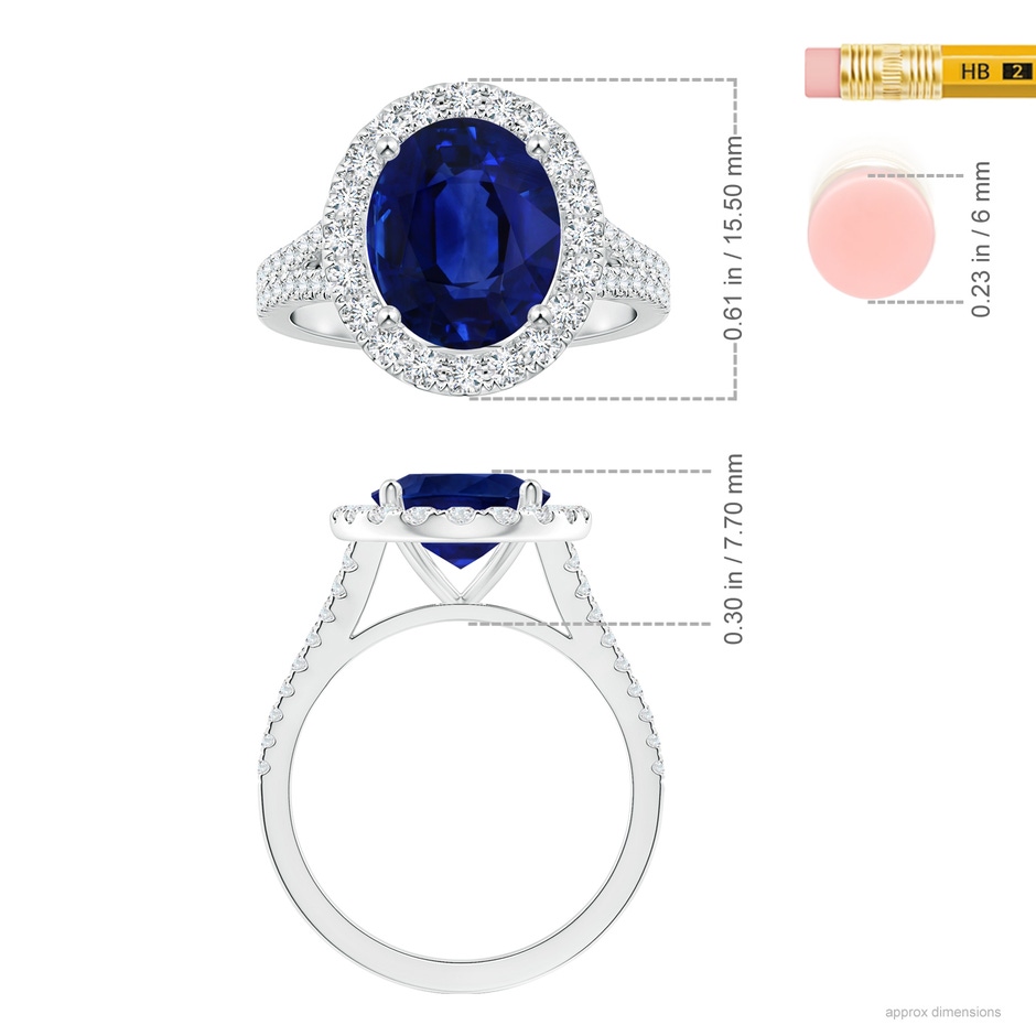 10.67x7.87x5.16mm AAA GIA Certified Oval Blue Sapphire Halo Split Shank Ring in P950 Platinum ruler