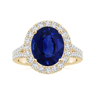 Oval AAA Blue Sapphire