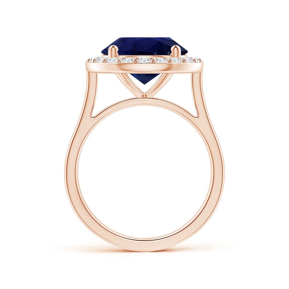 11.04x10.98x6.92mm AA GIA Certified Round Blue Sapphire Ring with Single Diamond Halo in Rose Gold side-1