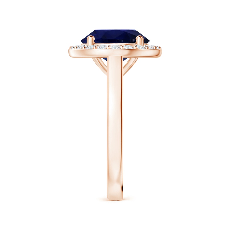 11.04x10.98x6.92mm AA GIA Certified Round Blue Sapphire Ring with Single Diamond Halo in Rose Gold side-2