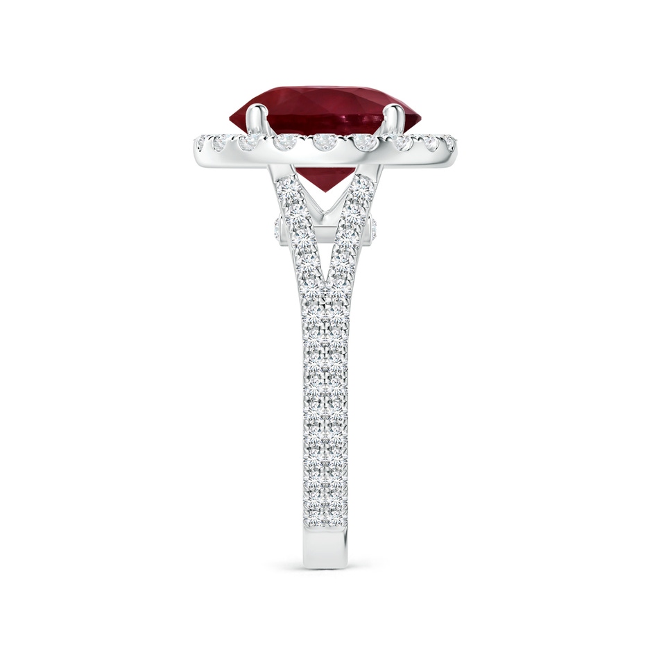 12.01x11.98x5.66mm AA GIA Certified Round Ruby Halo Split Shank Ring with Diamonds in 18K White Gold Side-2