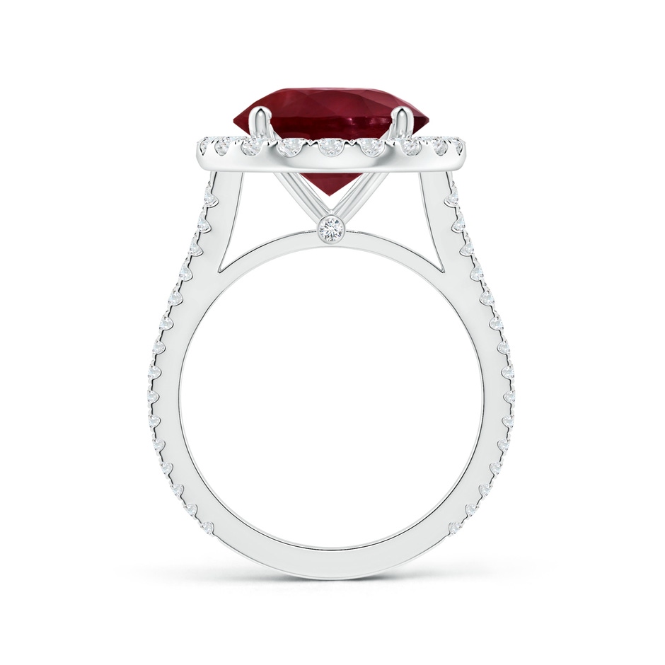 12.01x11.98x5.66mm AA GIA Certified Round Ruby Halo Split Shank Ring with Diamonds in P950 Platinum side-1