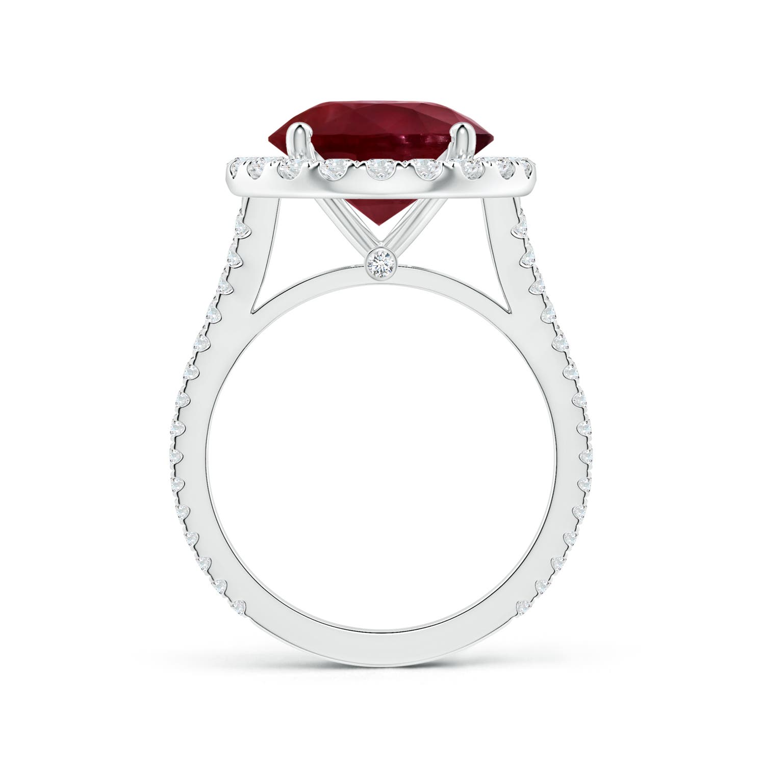 12.01x11.98x5.66mm AA GIA Certified Round Ruby Halo Split Shank Ring with Diamonds in White Gold - side 2
