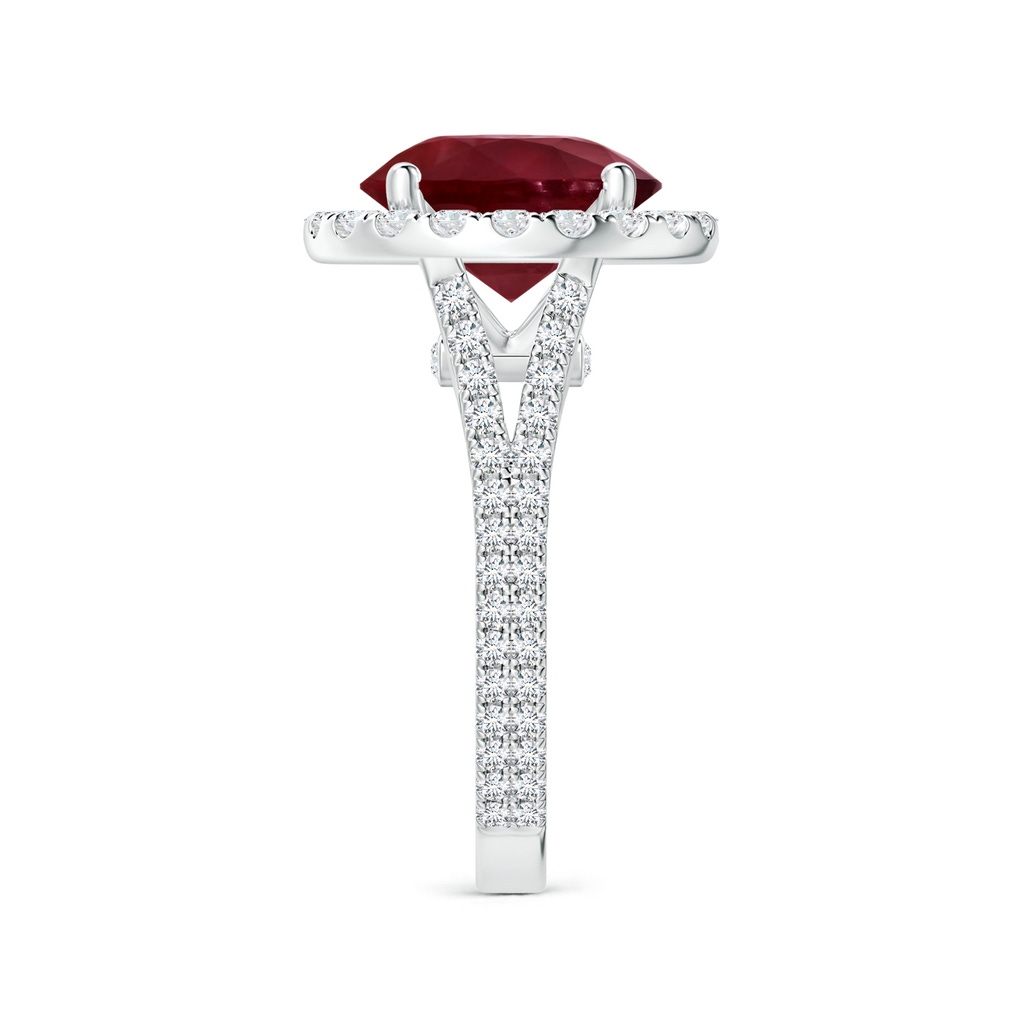 12.01x11.98x5.66mm AA GIA Certified Round Ruby Halo Split Shank Ring with Diamonds in White Gold Side-2