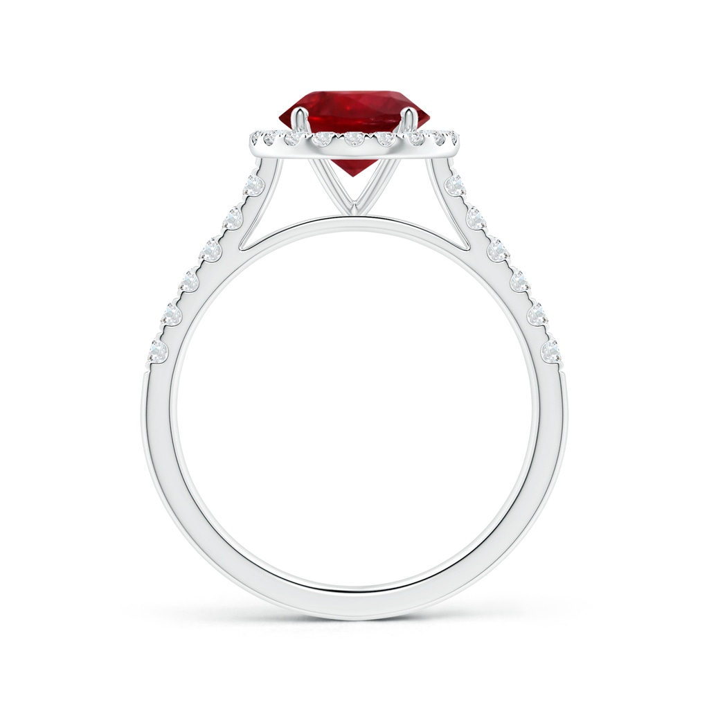 7.12x7.10x3.44mm AAAA GIA Certified Round Ruby Halo Ring with Diamond Accents in 18K White Gold Side-1
