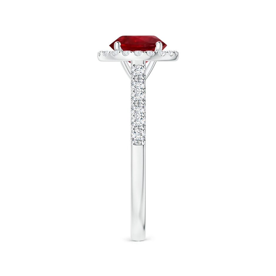 7.12x7.10x3.44mm AAAA GIA Certified Round Ruby Halo Ring with Diamond Accents in P950 Platinum side-2