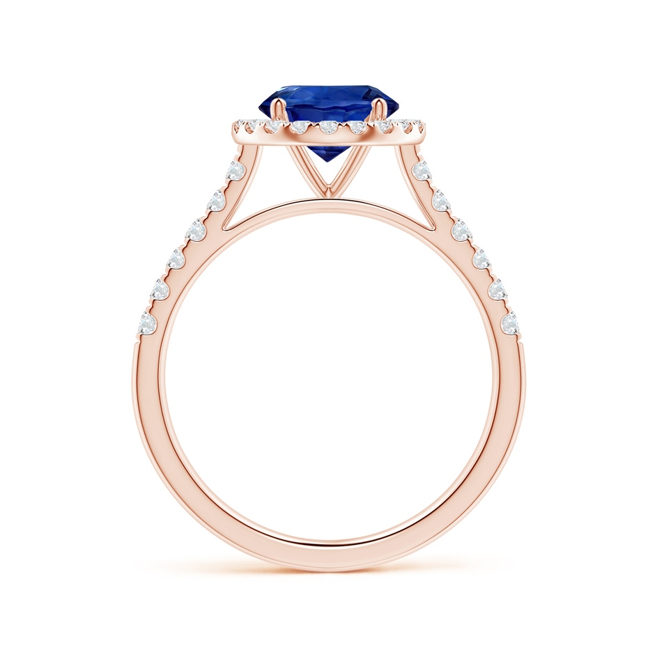 7.04x6.97x4.85mm AAA Round Blue Sapphire Halo Ring with Diamonds in 18K Rose Gold side 199