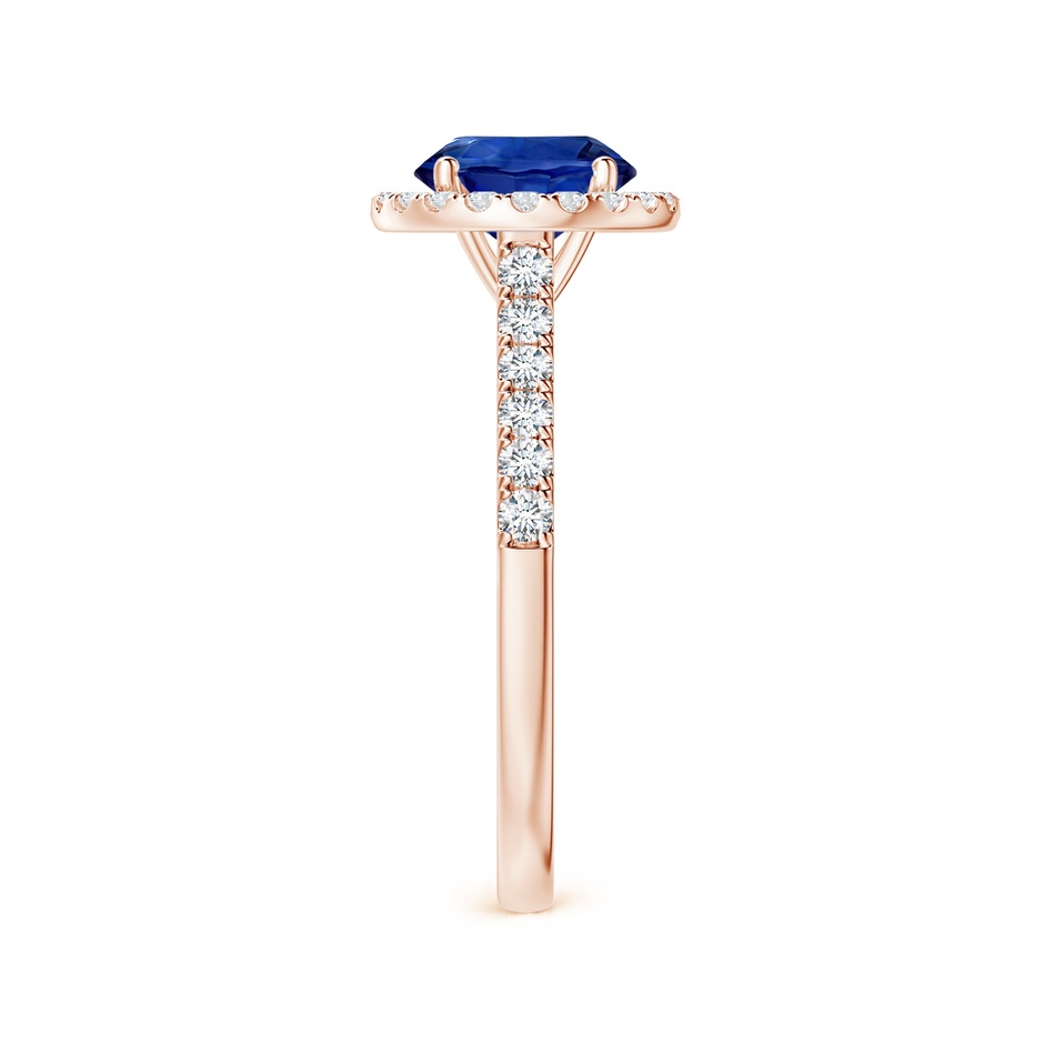 7.04x6.97x4.85mm AAA Round Blue Sapphire Halo Ring with Diamonds in 18K Rose Gold side 399