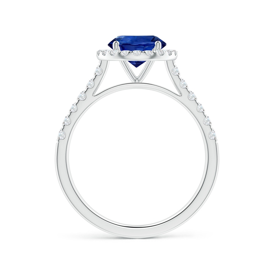 7.04x6.97x4.85mm AAA Round Blue Sapphire Halo Ring with Diamonds in P950 Platinum side 199