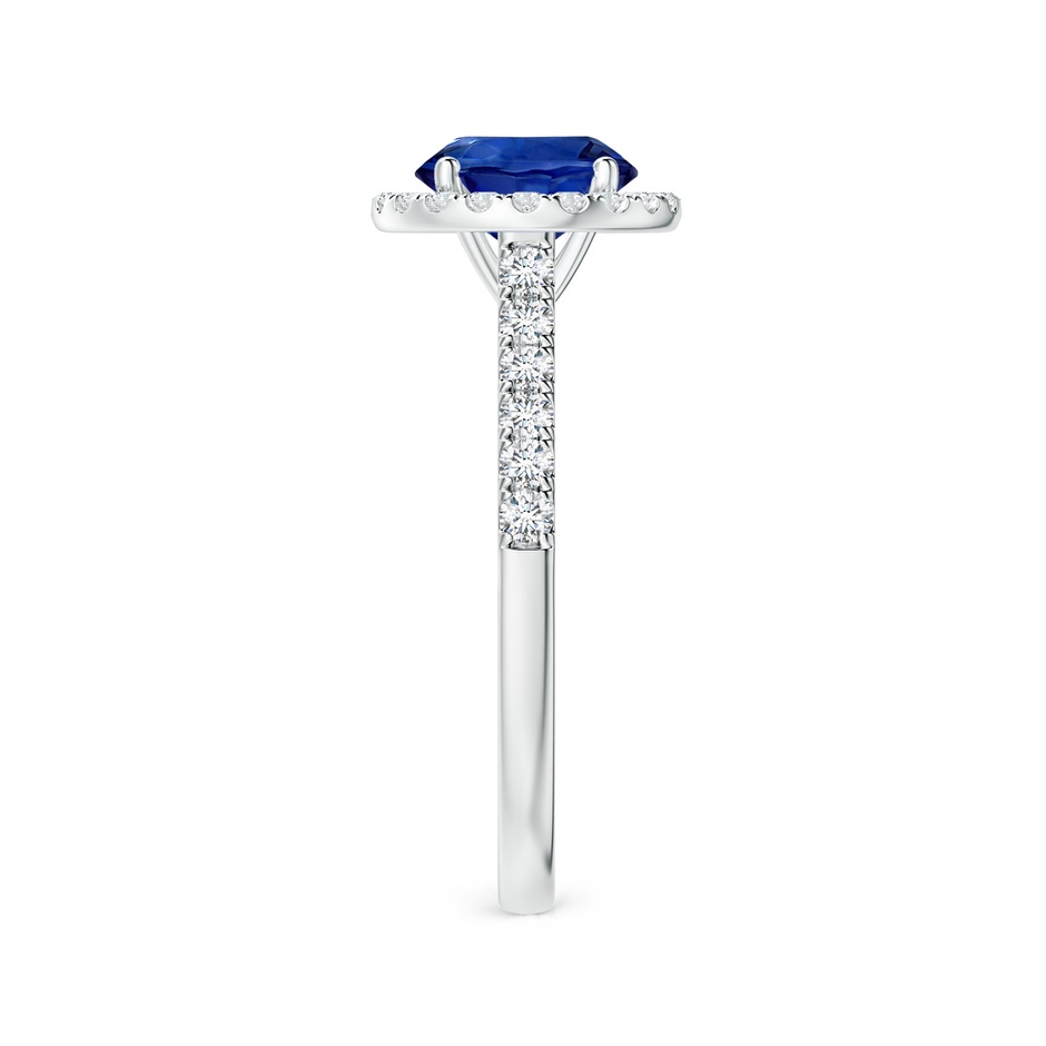 7.04x6.97x4.85mm AAA Round Blue Sapphire Halo Ring with Diamonds in P950 Platinum side 399