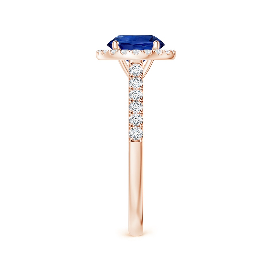 7.04x6.97x4.85mm AAA Round Blue Sapphire Halo Ring with Diamonds in Rose Gold side 399