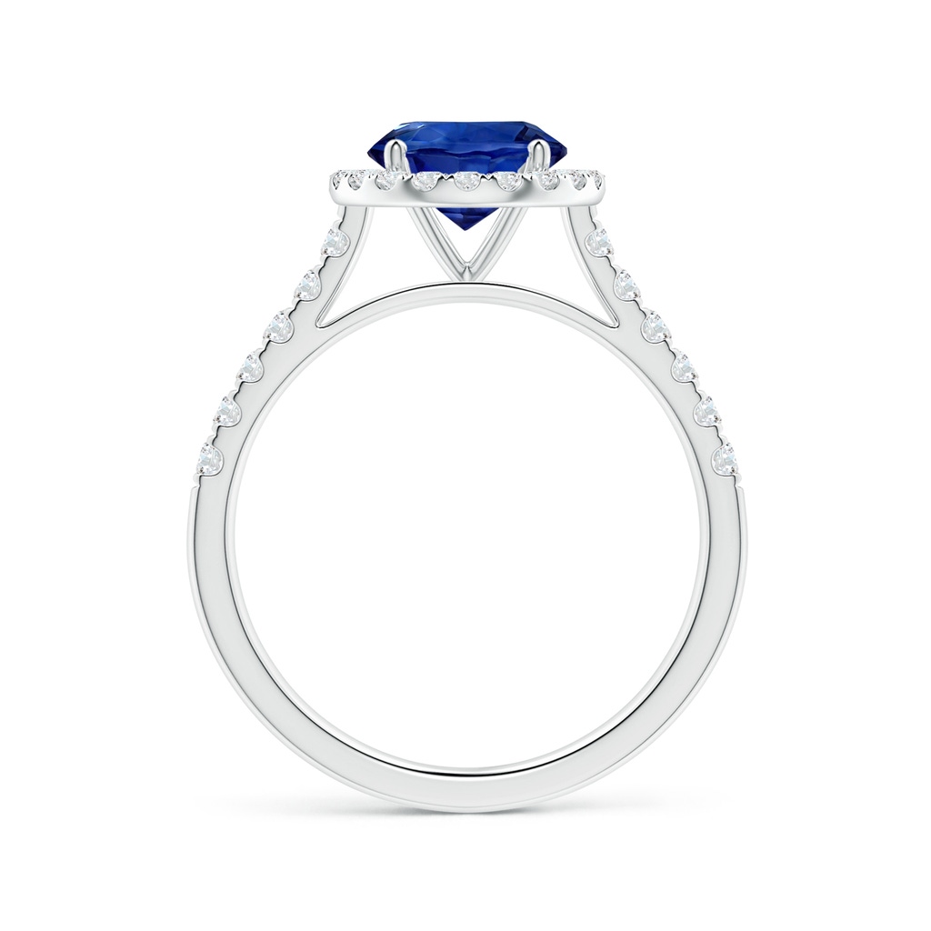 7.04x6.97x4.85mm AAA Round Blue Sapphire Halo Ring with Diamonds in White Gold Side 199
