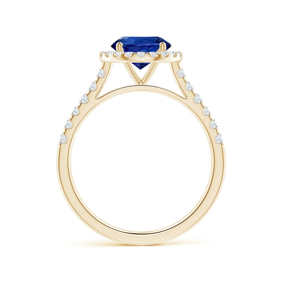 7.04x6.97x4.85mm AAA Round Blue Sapphire Halo Ring with Diamonds in Yellow Gold side 199