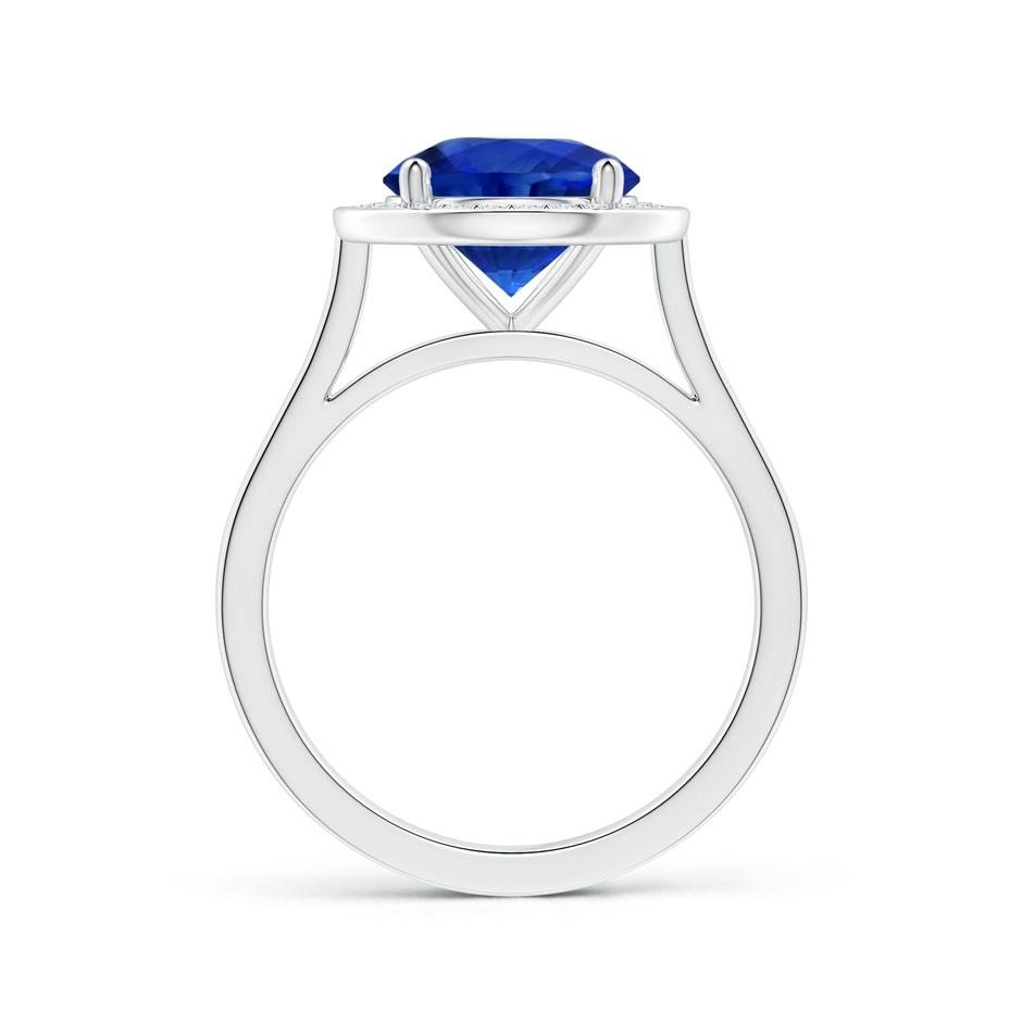 8.60x8.50x4.97mm AAA GIA Certified Round Blue Sapphire Ring with Diamond Halo in P950 Platinum Side-1