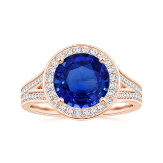 8.55x8.53x4.49mm AAA GIA Certified Round Blue Sapphire Single Halo Ring with Split Shank in 10K Rose Gold