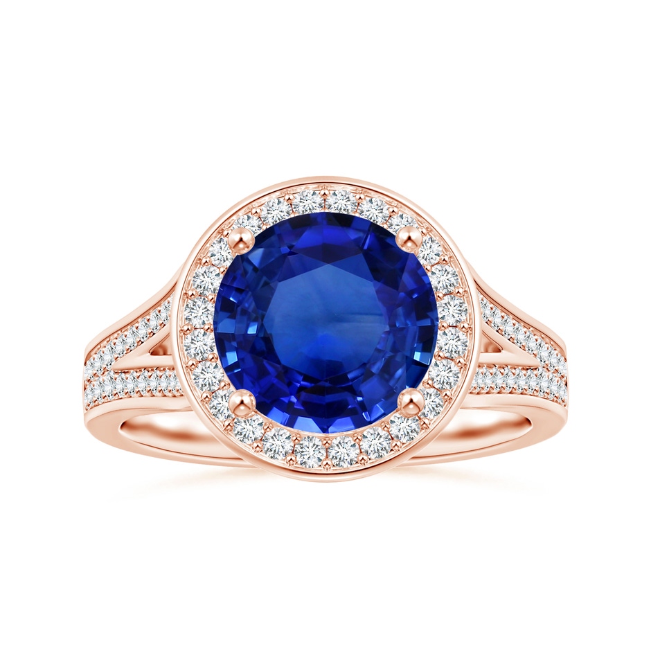 8.55x8.53x4.49mm AAA GIA Certified Round Blue Sapphire Single Halo Ring with Split Shank in 18K Rose Gold 