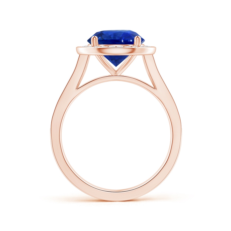 8.55x8.53x4.49mm AAA GIA Certified Round Blue Sapphire Single Halo Ring with Split Shank in 18K Rose Gold side-1