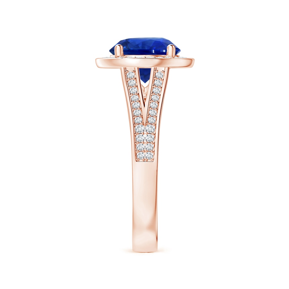 8.55x8.53x4.49mm AAA GIA Certified Round Blue Sapphire Single Halo Ring with Split Shank in 18K Rose Gold side-2