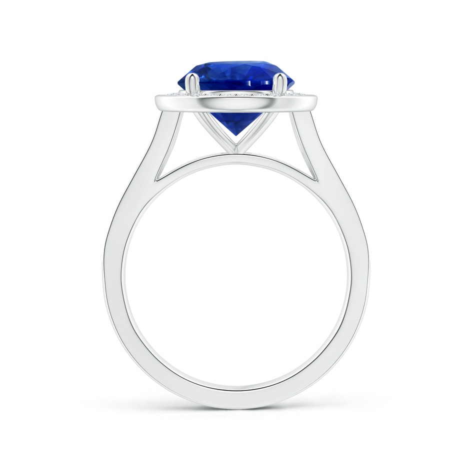 8.55x8.53x4.49mm AAA GIA Certified Round Blue Sapphire Single Halo Ring with Split Shank in P950 Platinum Side-1