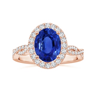 9.88x7.91x4.95mm AAA GIA Certified Oval Sapphire Halo Twisted Shank Ring with Diamonds in 18K Rose Gold