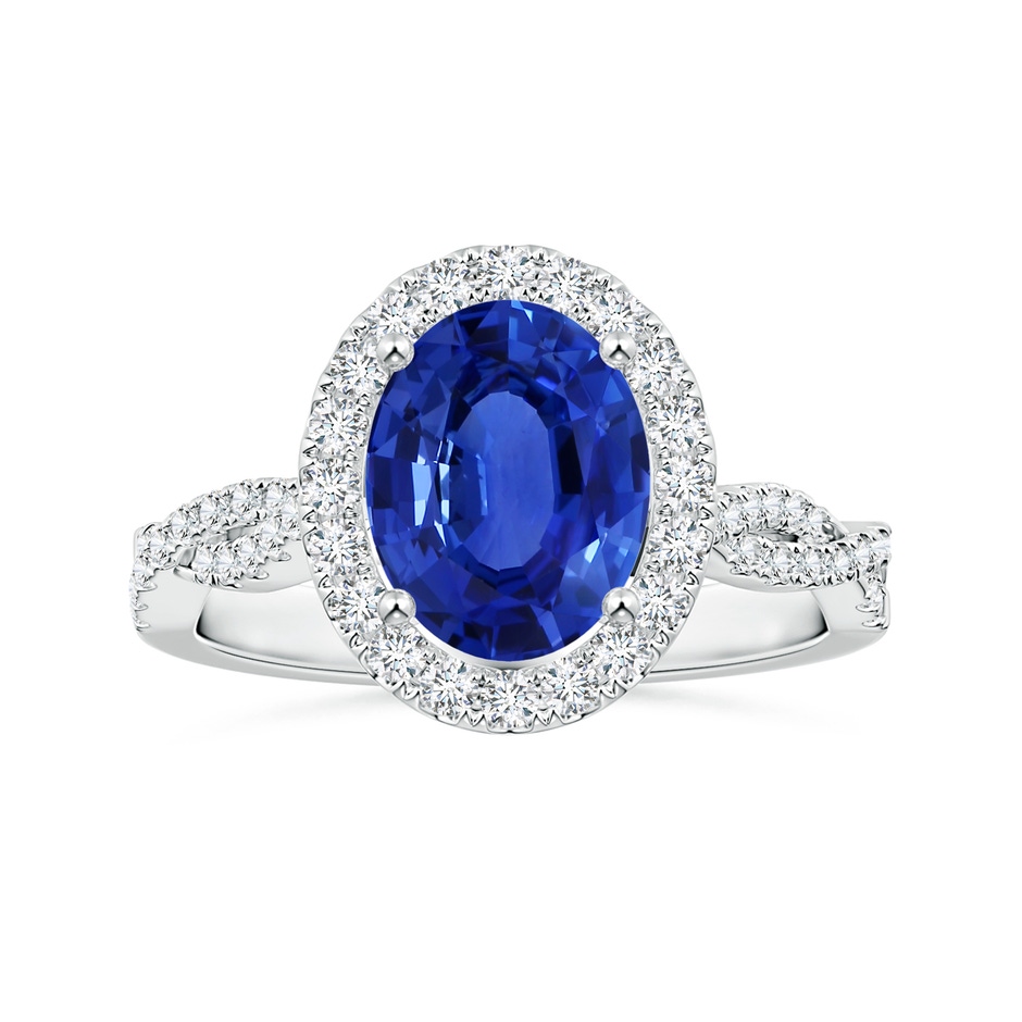 9.88x7.91x4.95mm AAA GIA Certified Oval Sapphire Halo Twisted Shank Ring with Diamonds in P950 Platinum 