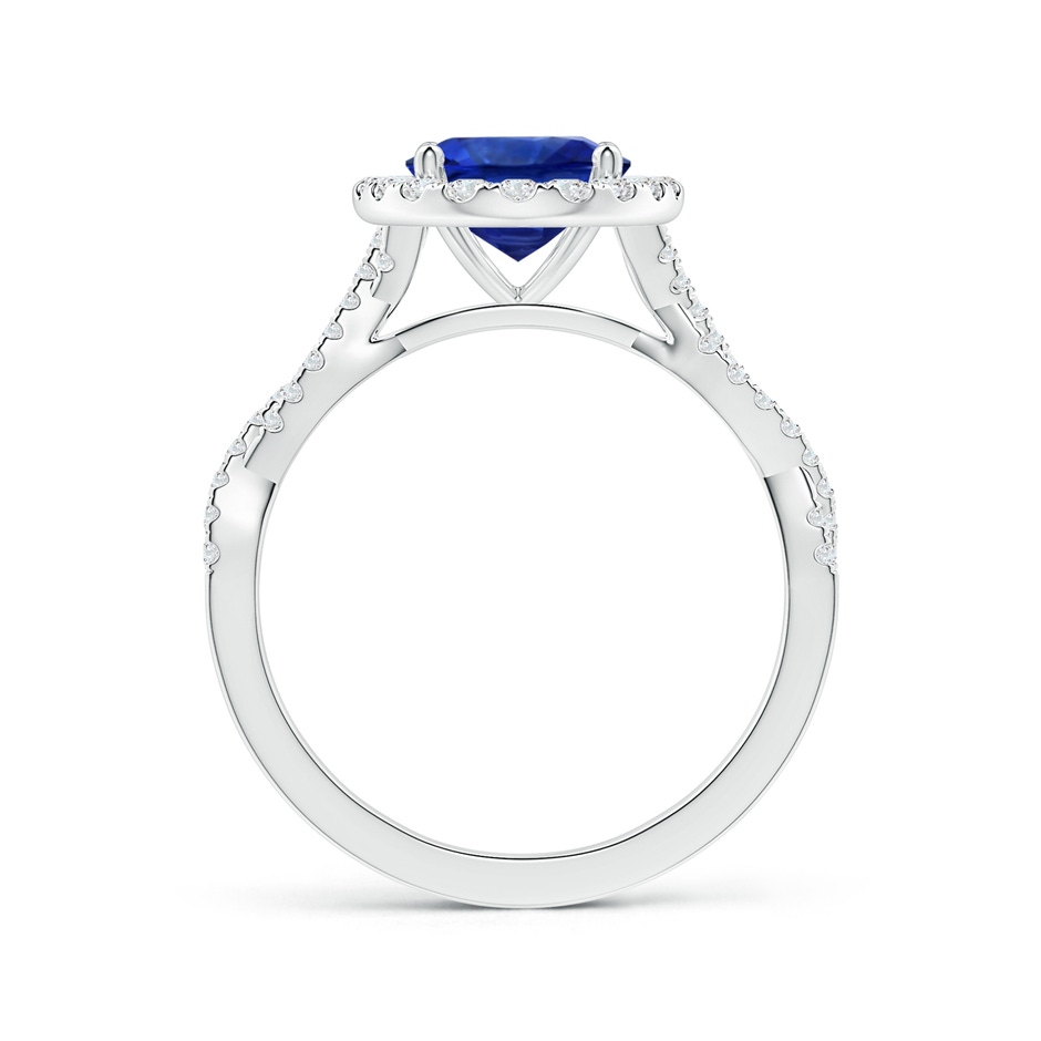 9.88x7.91x4.95mm AAA GIA Certified Oval Sapphire Halo Twisted Shank Ring with Diamonds in P950 Platinum side 199