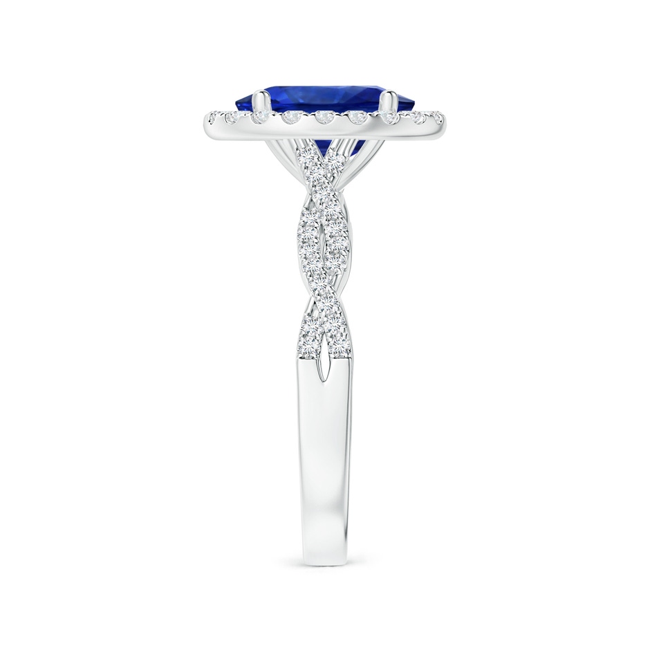 9.88x7.91x4.95mm AAA GIA Certified Oval Sapphire Halo Twisted Shank Ring with Diamonds in P950 Platinum side 399