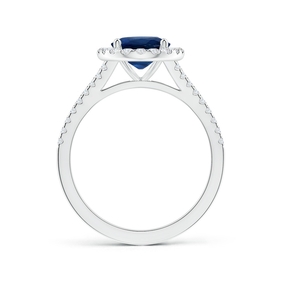 10.45x8.17x4.81mm AA GIA Certified Oval Sapphire Halo Split Shank Ring with Diamonds in P950 Platinum side-1