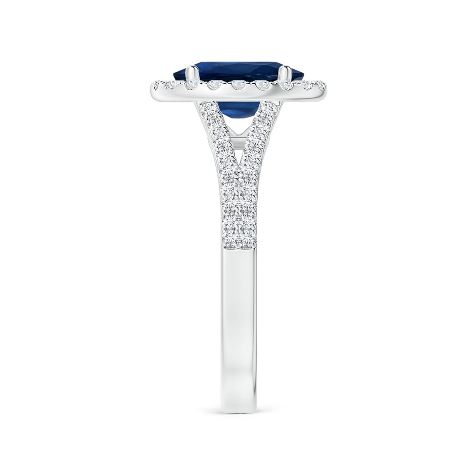 10.45x8.17x4.81mm AA GIA Certified Oval Sapphire Halo Split Shank Ring with Diamonds in P950 Platinum side-2