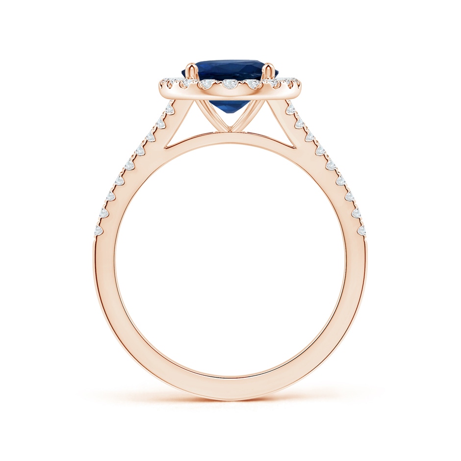 10.45x8.17x4.81mm AA GIA Certified Oval Sapphire Halo Split Shank Ring with Diamonds in Rose Gold side-1